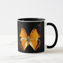 Black-Bordered Charaxes Butterfly Coffee Mug