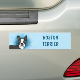 Black Boston Terrier Cartoon Dog On Blue & Text Bumper Sticker