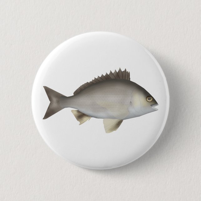 Black Bream 6 Cm Round Badge (Front)
