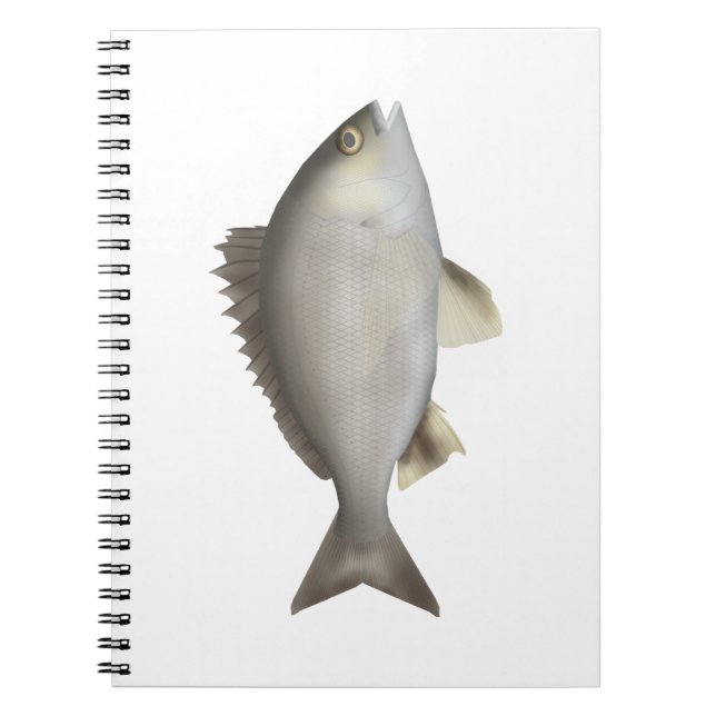 Black Bream Notebook (Front)