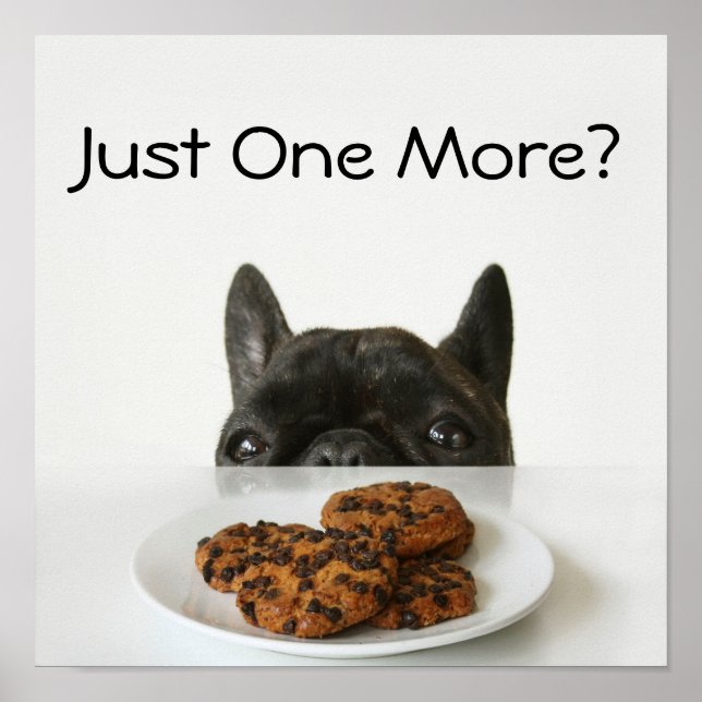 Black Brindle French Bulldog Poster (Front)