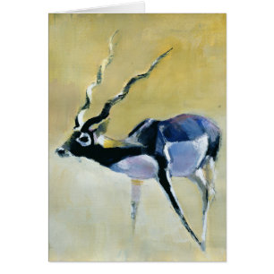 Black Buck Velavadar 1997