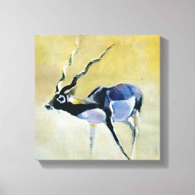 Black Buck Velavadar 1997 Canvas Print (Front)