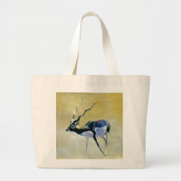 Black Buck Velavadar 1997