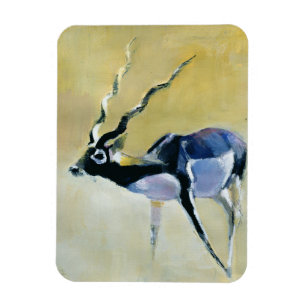 Black Buck Velavadar 1997 Magnet