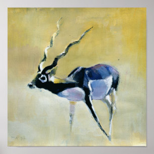 Black Buck Velavadar 1997 Poster