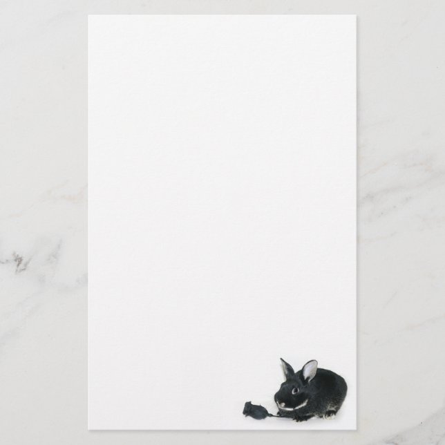 Black bunny Black rose Stationery (Front)