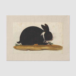 BLACK BUNNY RABBIT Custom 10lb Tissue Paper, White Paper