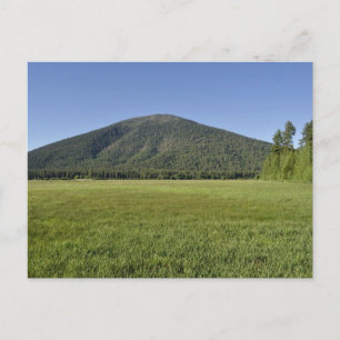 Black Butte Postcard