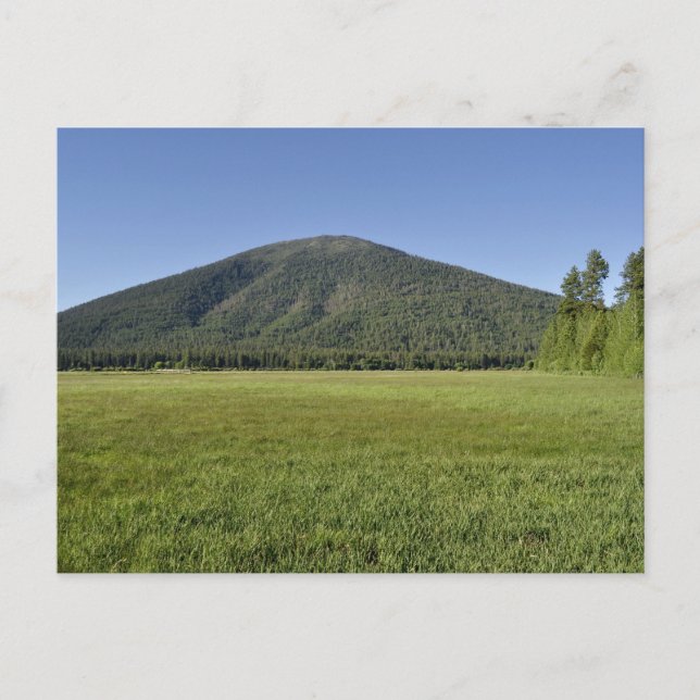 Black Butte Postcard (Front)