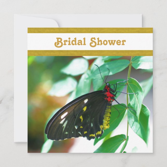 Black Butterfly Nature Bridal Shower  Invitation (Front)