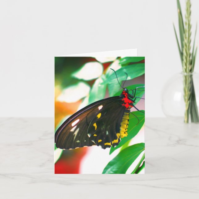 Black Butterfly Nature Customisable Note Card (Front)