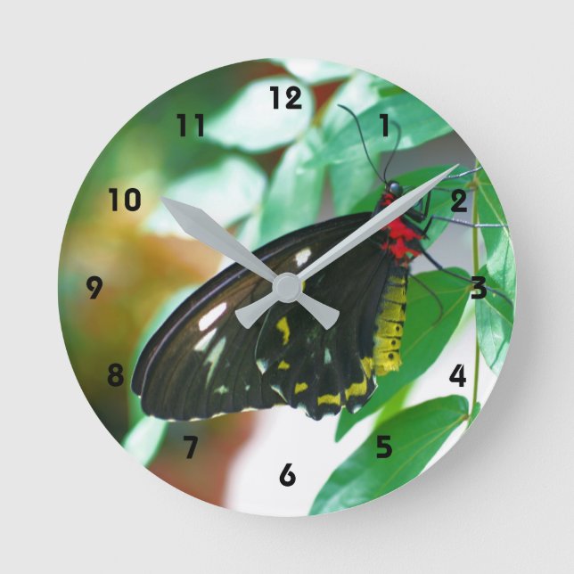 Black Butterfly Nature Round Clock (Front)