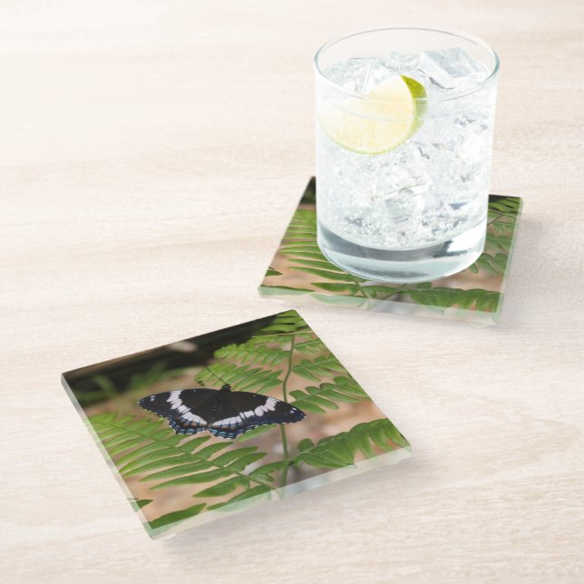 Black Butterfly on Fern Glass Coaster (Angled)