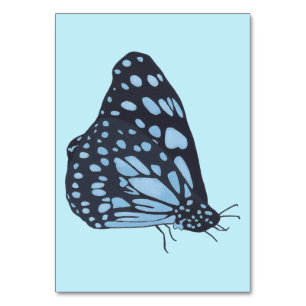 Black butterfly reading flashcards for adults table number