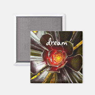 Black Cactus Photo Dream Quote Script Modern Bold Magnet