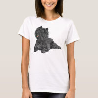 Black Cairn Terrier