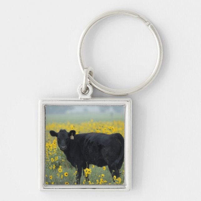 Black Calf in a Field of Sunflowers Key Ring (Front)