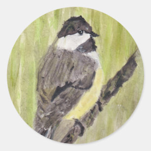 Black-capped Chickadee Bird - acrylic painting.  Classic Round Sticker