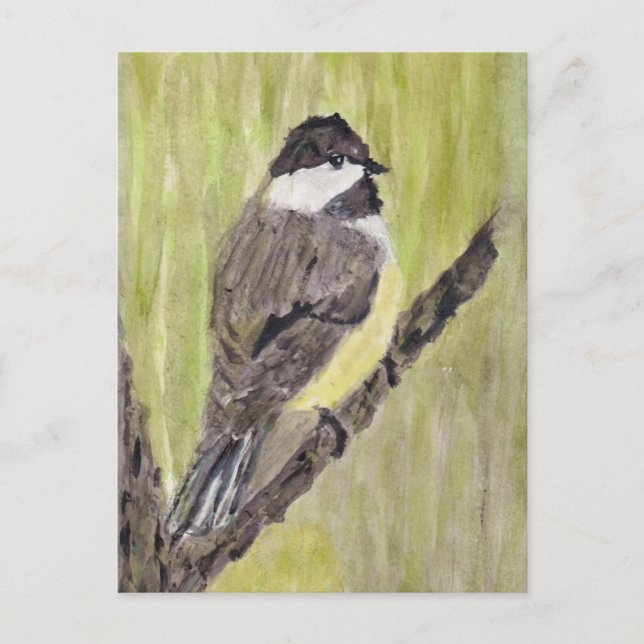 Black-capped Chickadee Bird - acrylic painting. Postcard (Front)