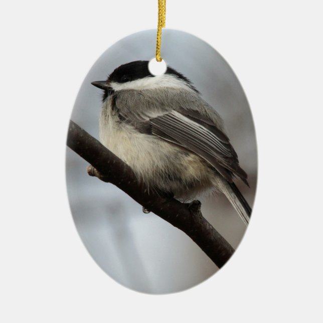 Black Capped Chickadee Ceramic Tree Decoration (Front)