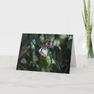 Black-capped Chickadee Happy Holiday Card