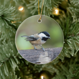 Black-capped Chickadee Holiday Gift Ceramic Tree Decoration