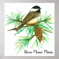 Black Capped Chickadee Home Means Maine