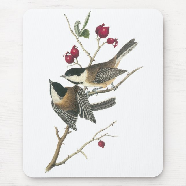 Black-capped Chickadee, John Audubon Mouse Pad (Front)
