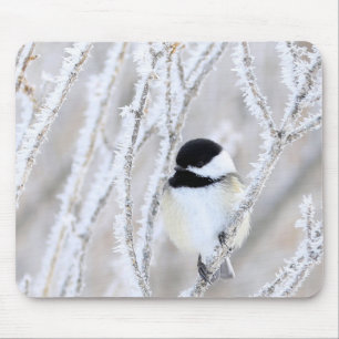 black capped chickadee mousepad