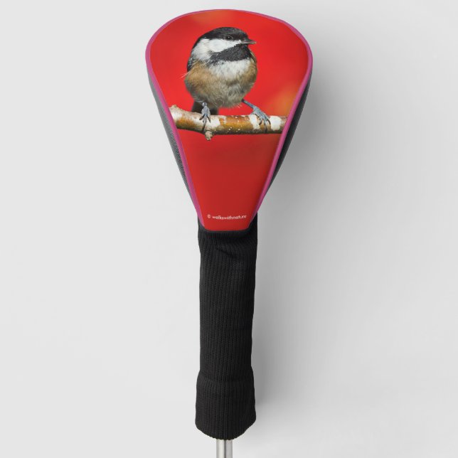 Black-Capped Chickadee on Autumn Red Background Golf Head Cover (Front)