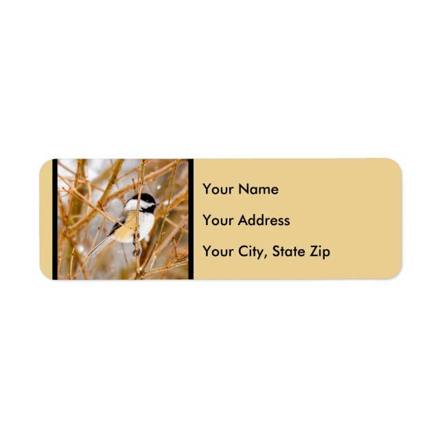 Black-Capped Chickadee - Original Photograph (Front)