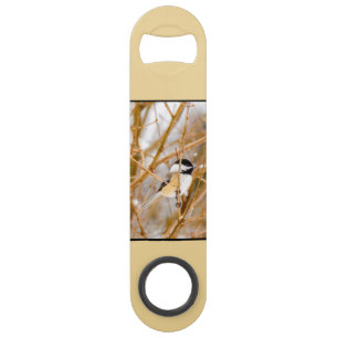 Black-Capped Chickadee - Original Photograph