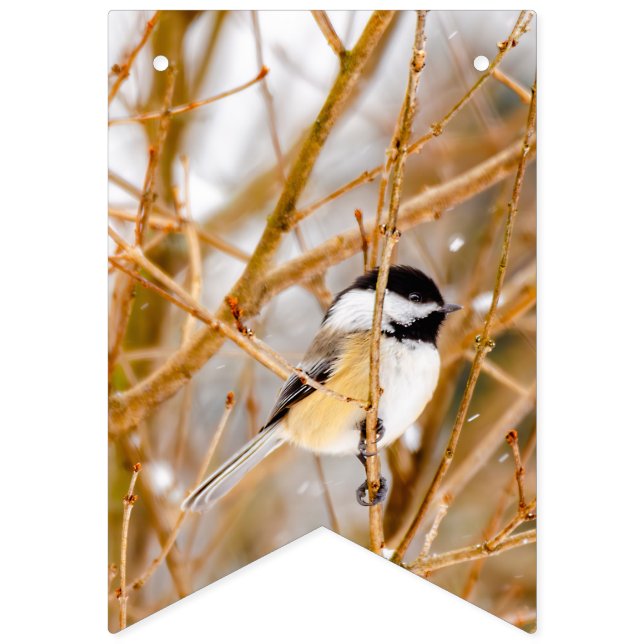 Black-Capped Chickadee - Original Photograph Bunting (First Flag)