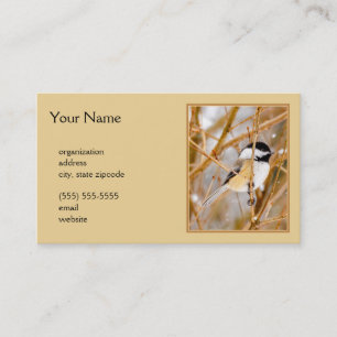 Black-Capped Chickadee - Original Photograph Business Card