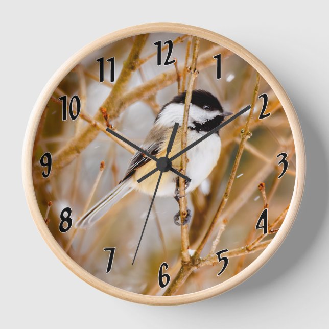 Black-Capped Chickadee - Original Photograph Clock (Front)