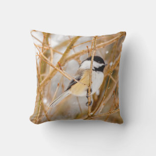 Black-Capped Chickadee - Original Photograph Cushion