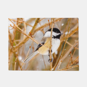 Black-Capped Chickadee - Original Photograph Doormat