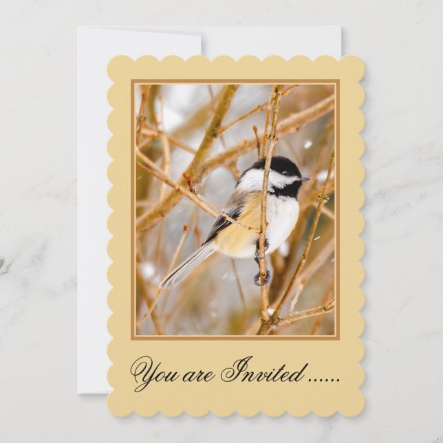 Black-Capped Chickadee - Original Photograph Invitation (Front)
