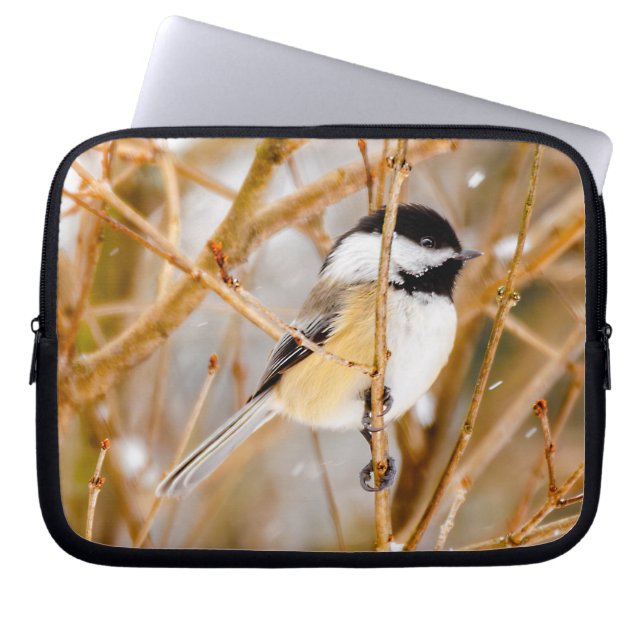 Black-Capped Chickadee - Original Photograph Laptop Sleeve (Front)
