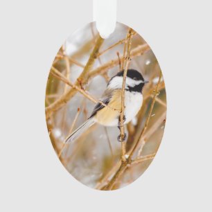 Black-Capped Chickadee - Original Photograph Ornament