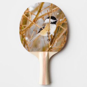 Black-Capped Chickadee - Original Photograph Ping Pong Paddle