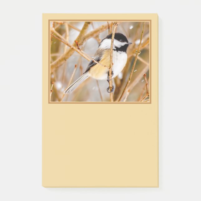 Black-Capped Chickadee - Original Photograph Post-it Notes (Front)