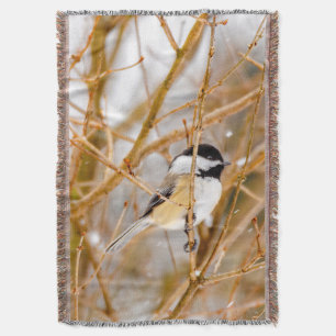 Black-Capped Chickadee - Original Photograph Throw Blanket
