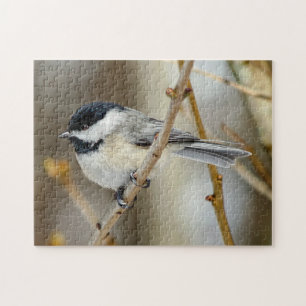 Black Capped Chickadee Puzzle