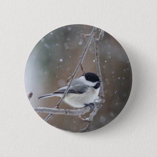 Black-capped Chickadee - Songbird 6 Cm Round Badge (Front)