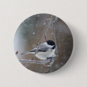 Black-capped Chickadee - Songbird 6 Cm Round Badge