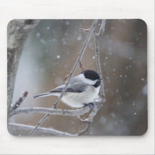 Black-capped Chickadee - Songbird Mouse Pad