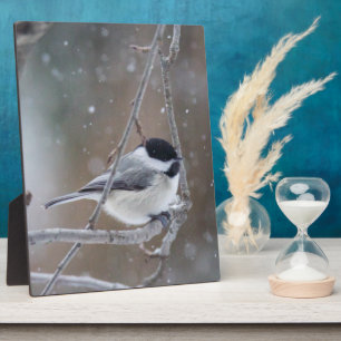 Black-capped Chickadee - Songbird Plaque