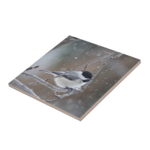 Black-capped Chickadee - Songbird Tile